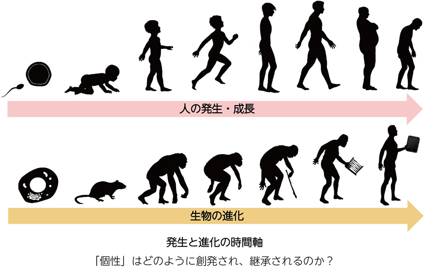 上記文章を表した図