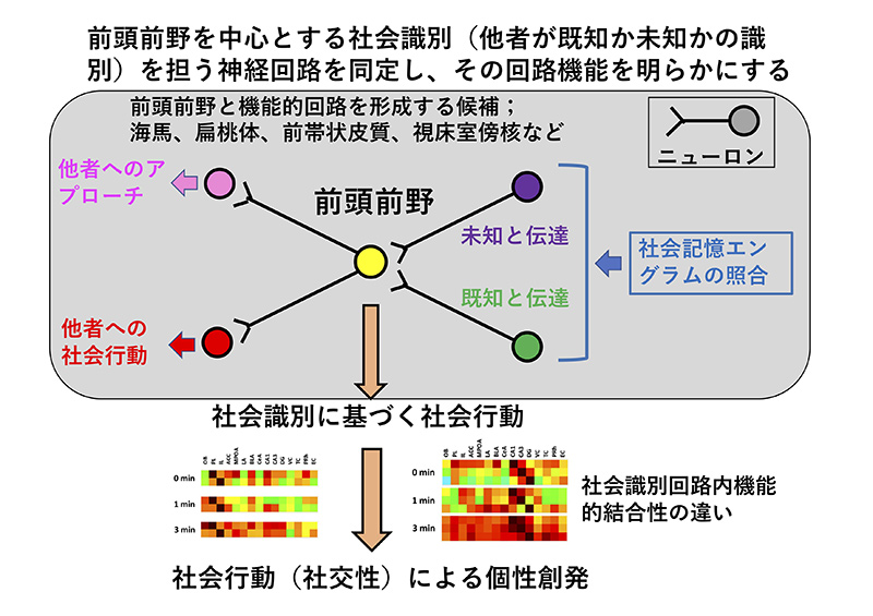 研究説明イメージ画像