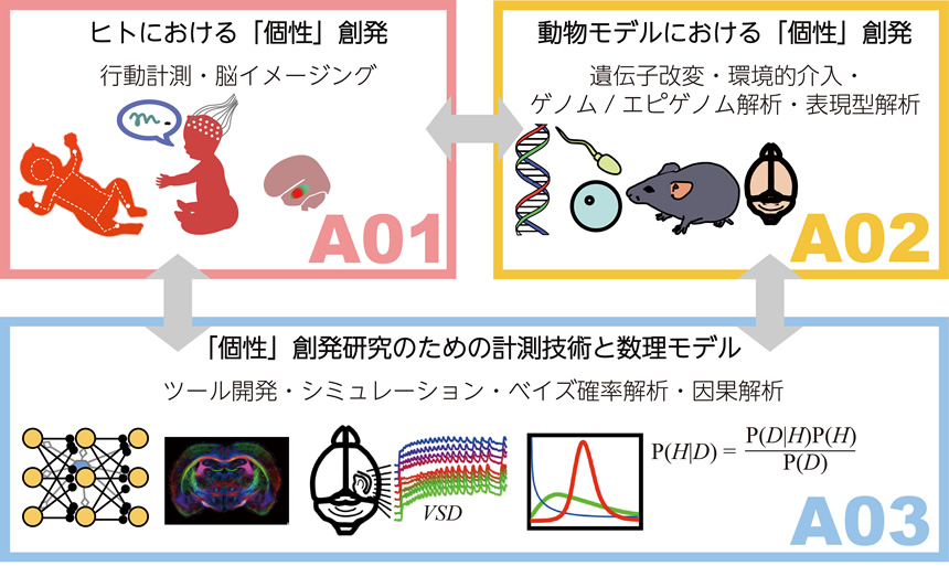 上記文章を表した図