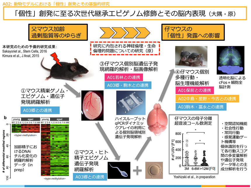 研究説明イメージ画像