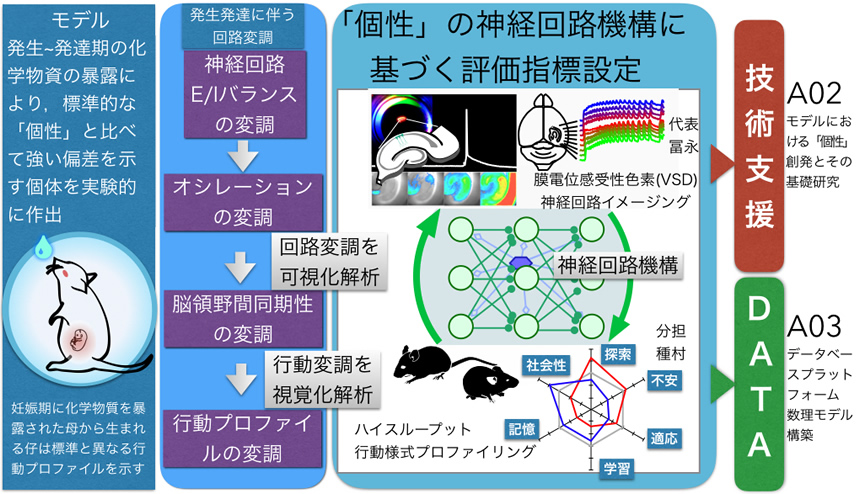 研究説明イメージ画像