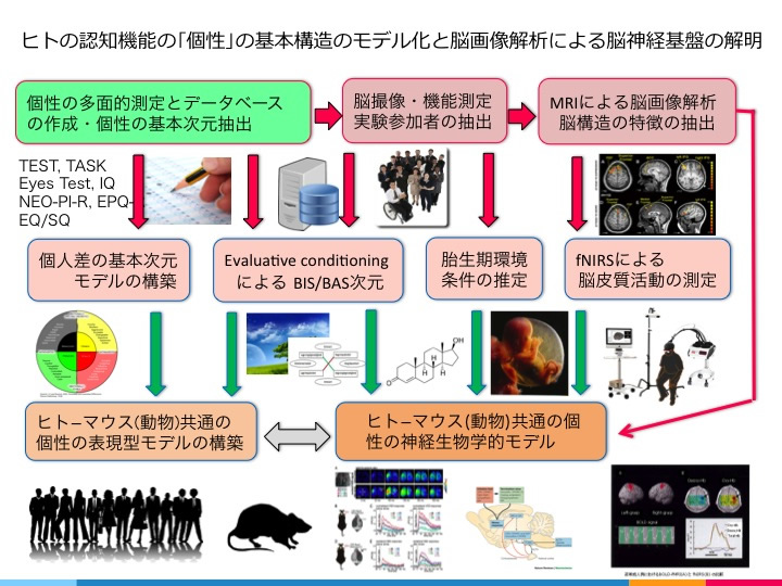 研究説明イメージ画像