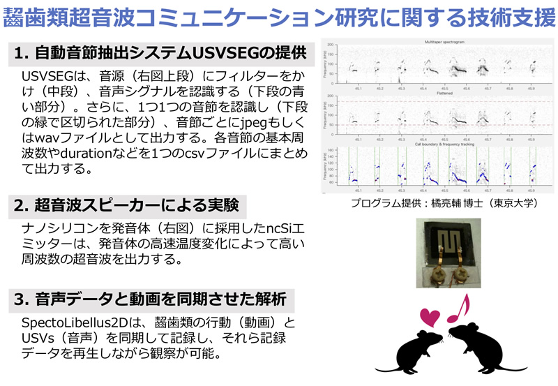 支援研究説明画