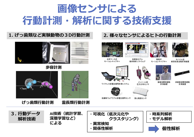 支援研究説明画