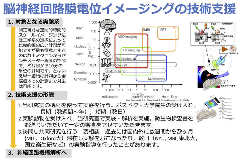 支援研究説明画